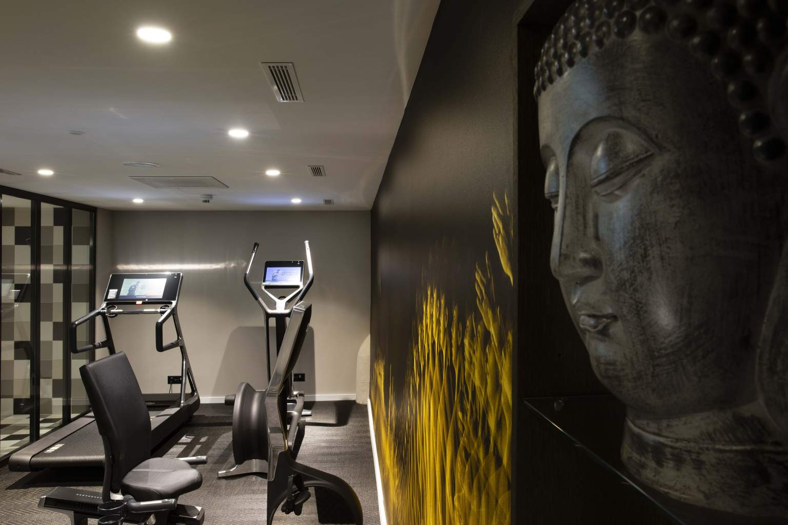 Espace fitness de l'Hôtel D Genève · Hôtel 4* Genève Centre